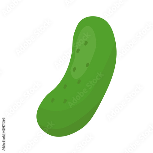 Cartoon cucumber isolated on white background. Flat cartoon vector illustration. Isolated on white background. Vegan concept