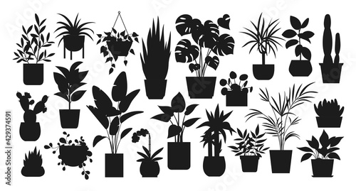 Houseplants. Vector set of silhouettes home plants, succulents in pot. Indoor exotic flowers with stems and leaves. Monstera, ficus, pothos, yucca, dracaena, cacti, snake plant for home and interior