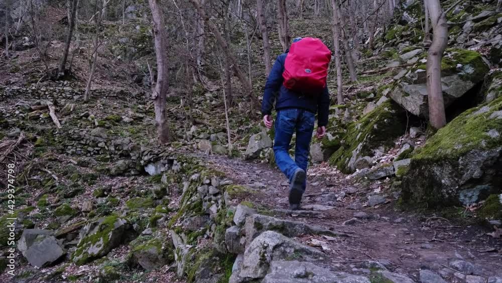 Male tourist with red rucksack hiking in the beautiful Harz Mountains near Thale (Saxony-Anhalt) in central Germany. Green moss covered rocks and bald trees are everywhere. Idillic winter scene in 4k. Male tourist with red rucksack hiking in the beautiful Harz Mountains near Thale (Saxony-Anhalt) in central Germany. Green moss covered rocks and bald trees are everywhere. Idillic winter scene in 4k.
