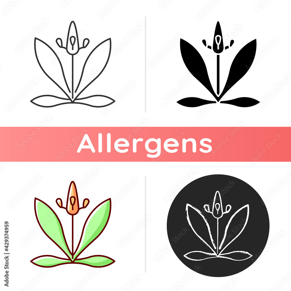 English plantain icon. Plantago lanceolata. Flower pollen as allergen