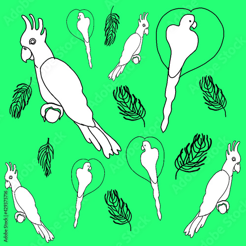 birds, birds of prey, parrots, tropical birds, canary parrots