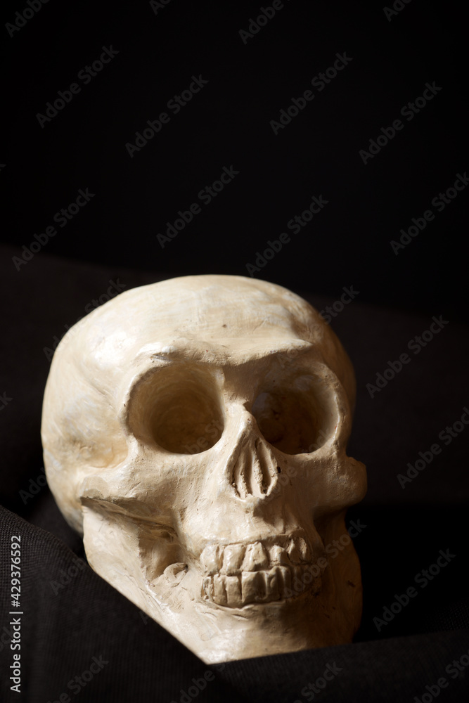 Clay human skull Clay human skull