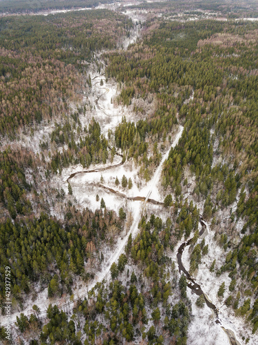 Aerial view of winding river, bridge and forest in Riezupe river nature park in winter day, Latvia.  photo