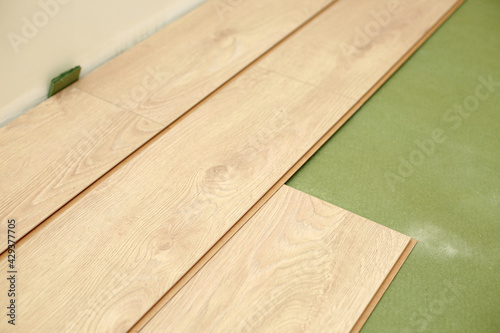 Installing wooden laminate or parquet floor in room over green base. assembling panels quickly and easily - affordable flooring. laying laminate flooring at home