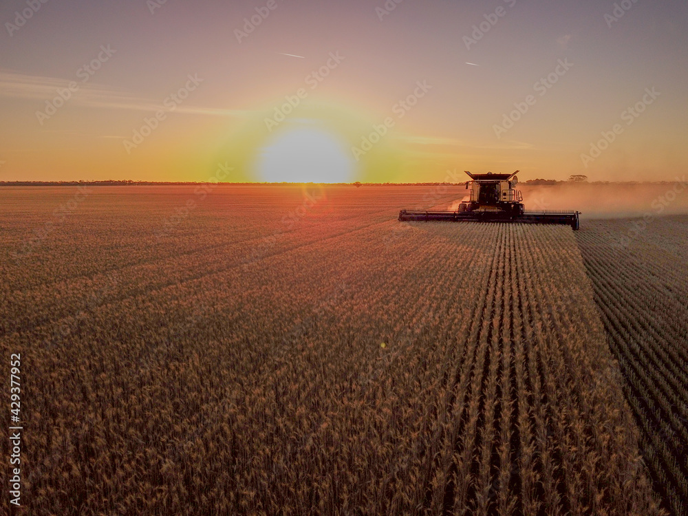Harvesting at Sunset Harvesting at Sunset