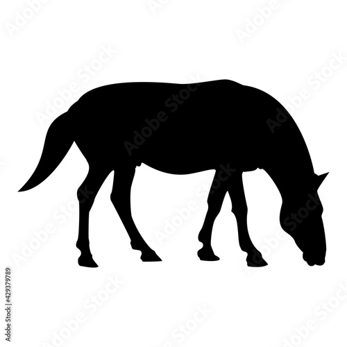 Silhouette steed horse equestrian equine stallion thoroughbred mustang black color vector illustration flat style image