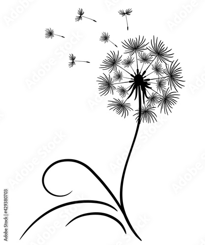 Delicate dandelion with flying seeds. Lonely flower with a thin stem and leaves. Black outline drawing on a white background. Vector illustration, print for a t-shirt, copy space. Dandelion silhouette