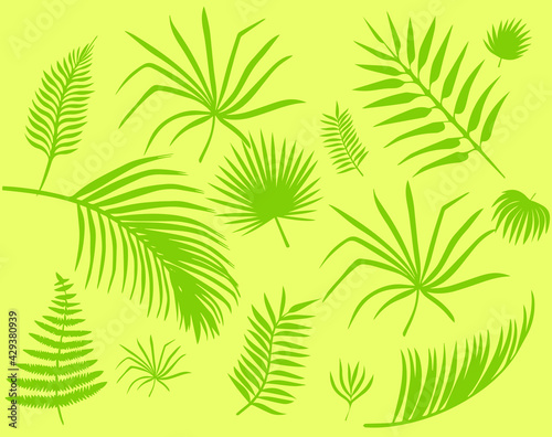 Tropical leaves of different shapes elongated, round, oval isolated from the background. Vector graphics