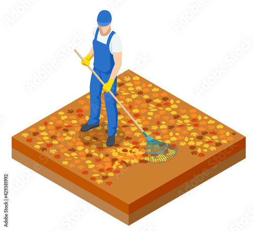 Isometric man cleaning fallen autumn leaves, A gardener collects and cleans fallen leaves in the fall with a rake isolated on white