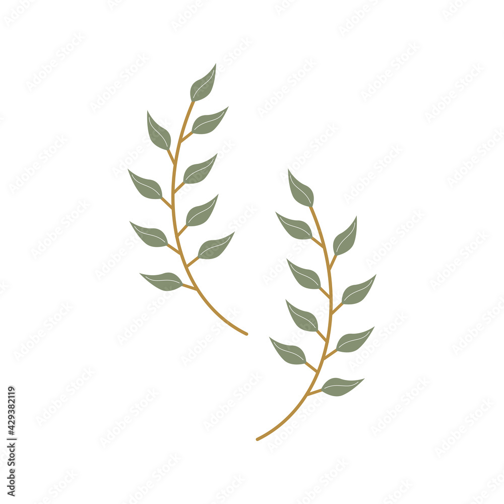 Isolated branches with leaves.