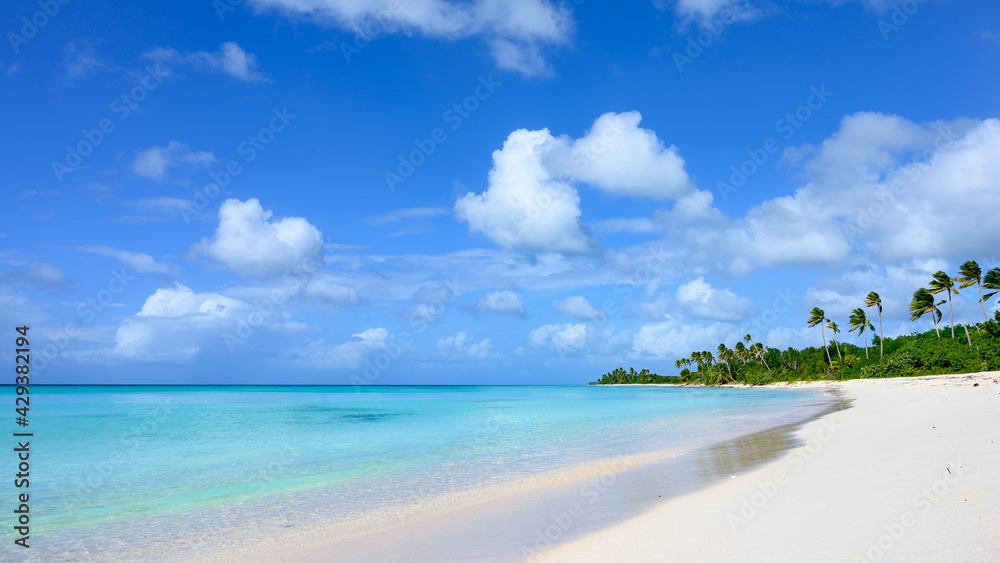 Tropical beach with sea view and palm trees in background