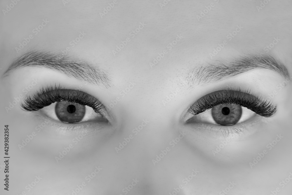 Close - up of the look after the eyelash extension procedure. The result of a cosmetic procedure for eyelash extension Close - up of the look after the eyelash extension procedure. The result of a cosmetic procedure for eyelash extension