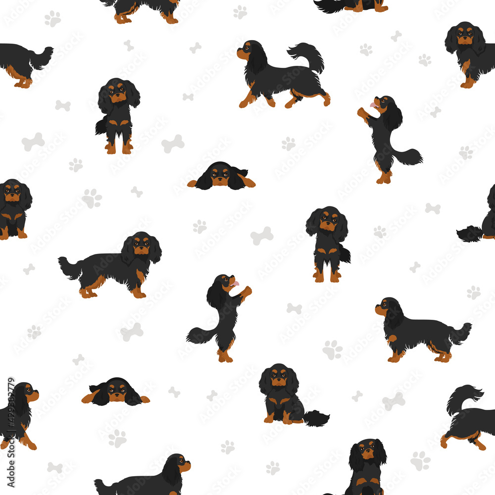 Cavalier King Charles spaniel seamless pattern.  Different poses, coat colors set.