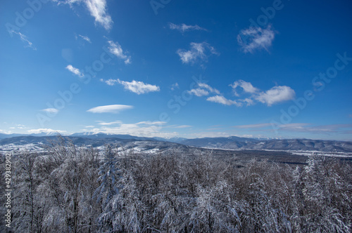 Beautiful panorama of the mountains in winter in the Carpathian region © onyx124