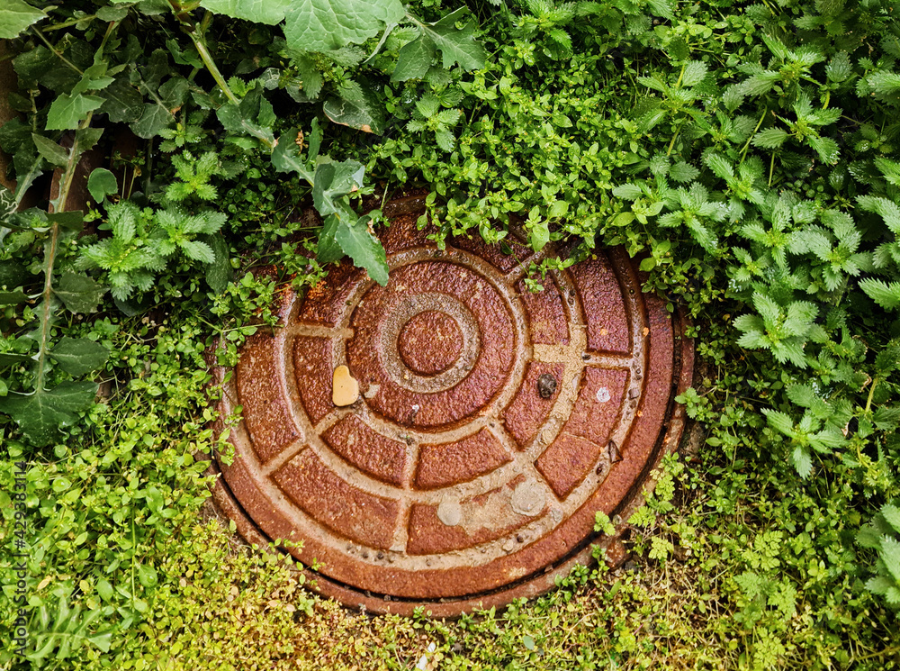 Sewer metal cap on the forest.Manhole