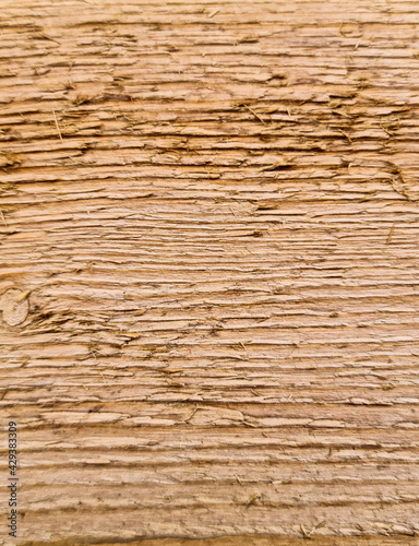 Texture of wood.Background