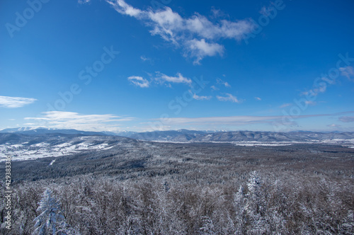 Panorama of mountains in winter in the Carpathian region