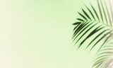Abstract background with shadow of tropical palm leaves. Creative minimal summer travel concept with shadow palm tree leaf. Blurred background. Banner Hello summer. Mock up