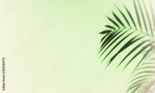 Abstract background with shadow of tropical palm leaves. Creative minimal summer travel concept with shadow palm tree leaf. Blurred background. Banner Hello summer. Mock up
