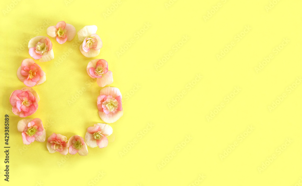 Pink begonia flowers laid out in the shape of an egg on a yellow background. Pink begonia flowers laid out in the shape of an egg on a yellow background.