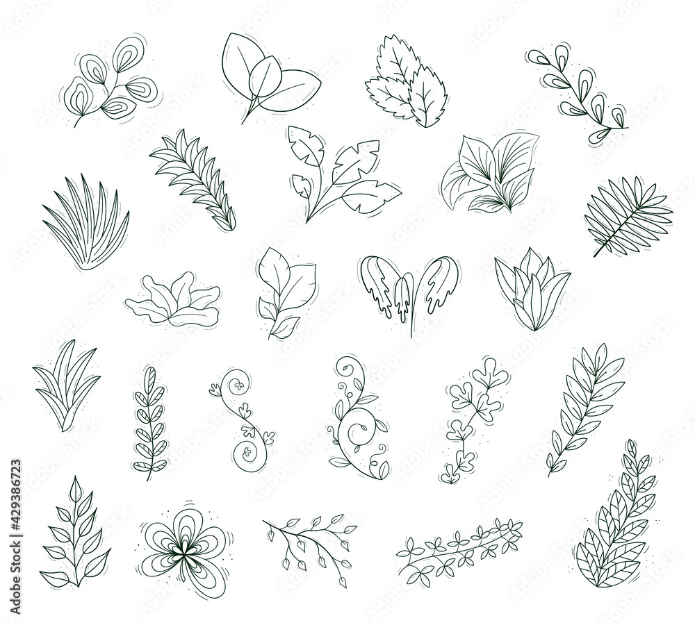 A set of varied plants. Tropical wide leaves, branches with narrow leaves, succulent bushes. Contour isolated objects on a white.