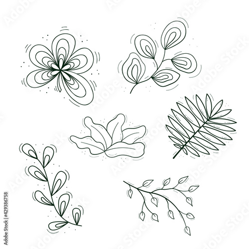 A set of flowing plants, a branch and a palm leaf from small narrow ones. Contour isolated objects on a white.