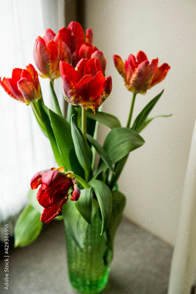 Red tulips stand in a vase on the window