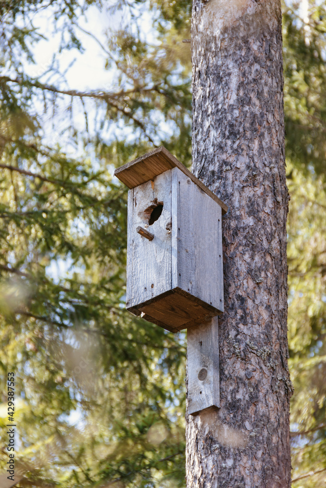 Vertical photo of birdhouse in the forest