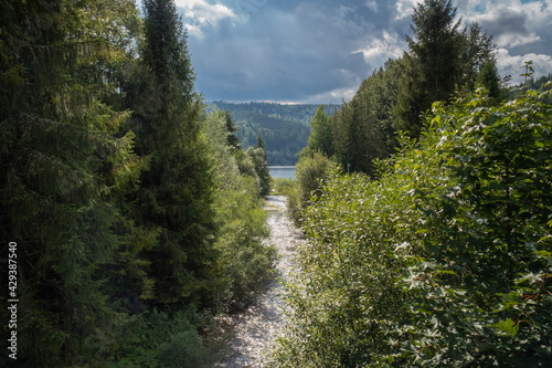 A wild river flowing into a mountain lake among the trees