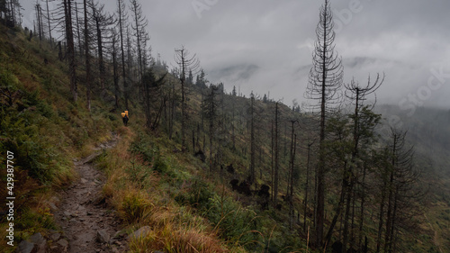 Path in the mountains on a foggy rainy day