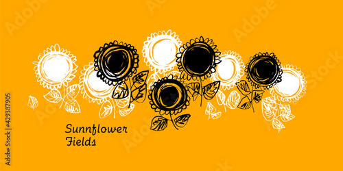 Monochrome abstract sunflow...