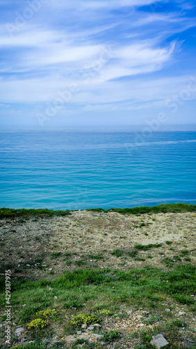 Seascape morning calm sea with spring shore. Grass and flowers in the foreground
