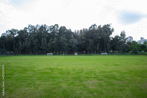soccer field landscape sport activity