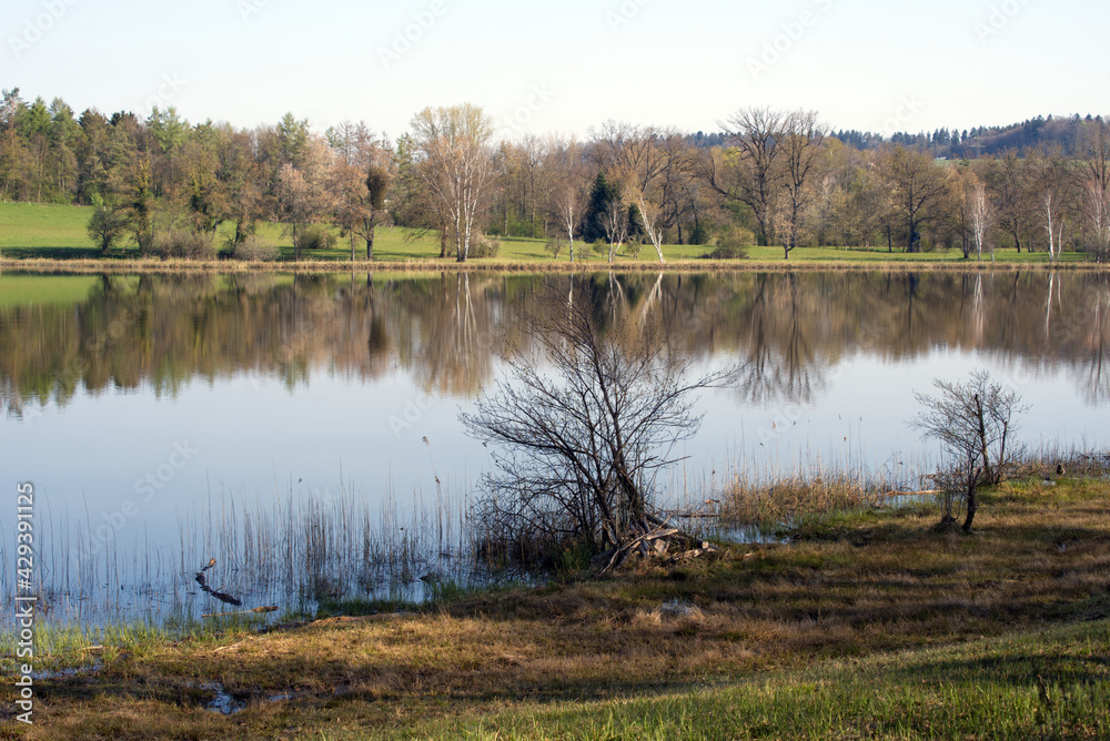 Natur reserve Katzensee (German, translation is cat lake) at springtime morning with beautiful reflections. Photo taken April 21st, 2021, Zurich, Switzerland. Natur reserve Katzensee (German, translation is cat lake) at springtime morning with beautiful reflections. Photo taken April 21st, 2021, Zurich, Switzerland.