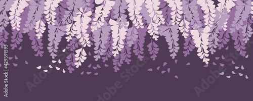 Purple wisteria blossom decorative flowers photo