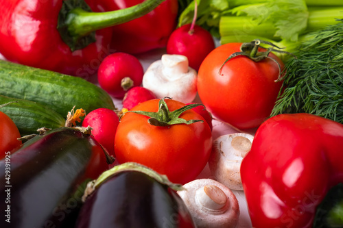 Fresh vegetables background - tomatoes, zucchini, mushrooms, radish, cucumbers, greens