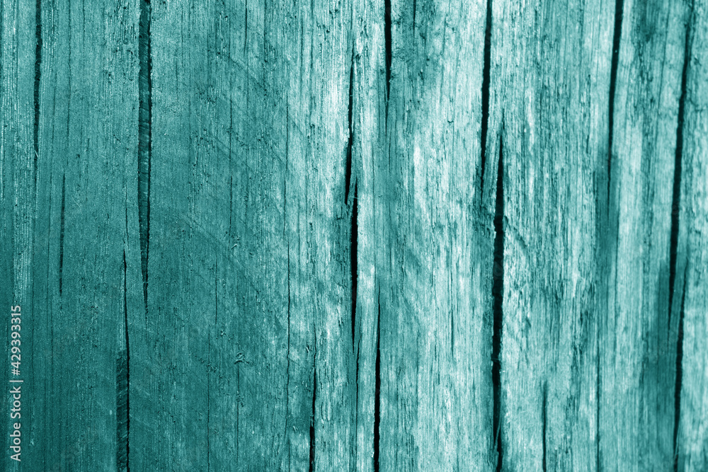 Part of wood curving on oak in cyan tone. Part of wood curving on oak in cyan tone.