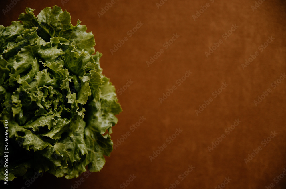Lechuga con fondo cálido