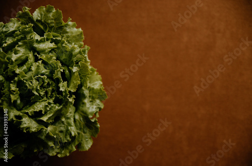 Obraz na płótnie Lechuga con fondo cálido w salonie