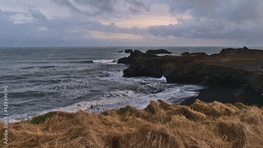Beautiful view of the rough Atlantic coast of Dyrhólaey peninsula, southern Iceland with volcanic rocks, cliffs and a black sand beach in the evening light in winter season with brown grass in front.