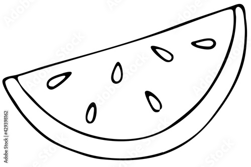 tropical exotic fruit - watermelon semicircle with seeds, vector doodle element, coloring