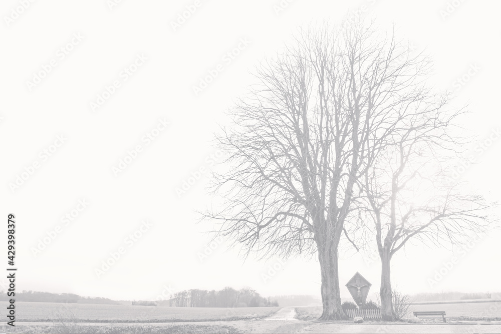 Winterlandschaft Winterlandschaft