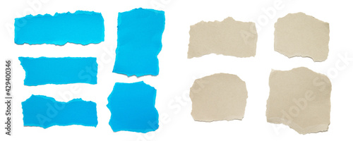 torn paper . collection of ripped pieces paper on white background.