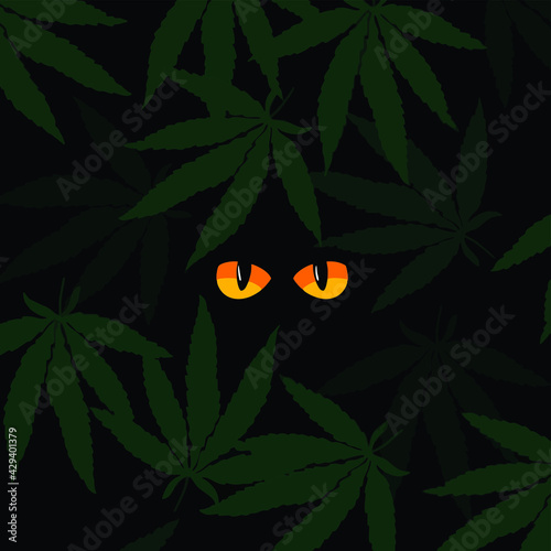 weedy jungle eyes