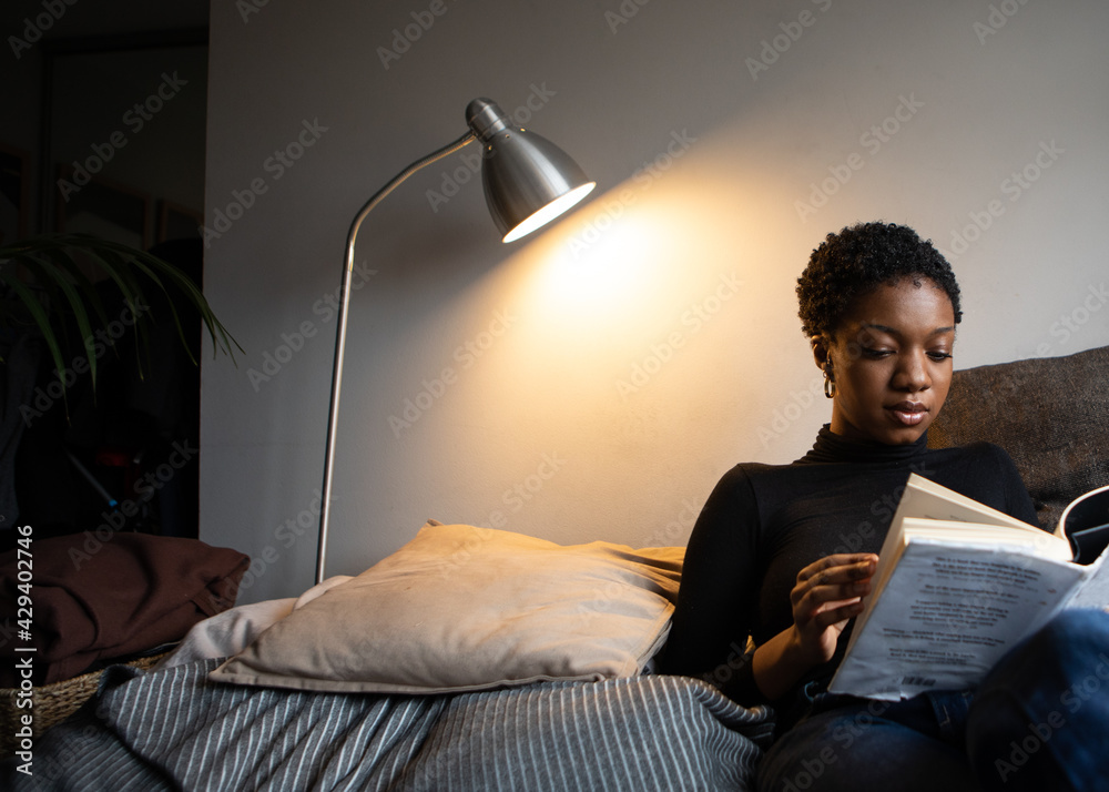 Woman reading a book from her comfortable sofa - obrazy, fototapety, plakaty 