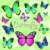 Butterflies on a green background. Swallowtail. The butterfly folded its wings. Blue butterfly, green, pink, and purple butterfly. Beautiful butterflies.