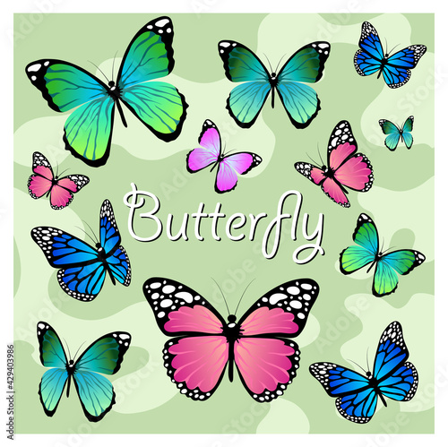 Wallpaper Mural Butterflies on a green background. Swallowtail. The butterfly folded its wings. Blue butterfly, green, pink, and purple butterfly. Beautiful butterflies. Torontodigital.ca