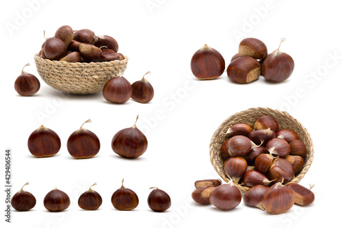 Beautiful Set of fresh raw sweet chestnuts(Castanea sativa) isolated on a white background
