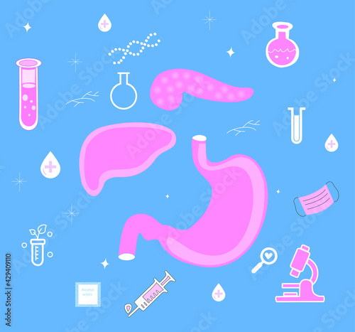 Analyzes, ultrasound examination to check the gastrointestinal tract, liver, stomach, pancreas. Vector graphics