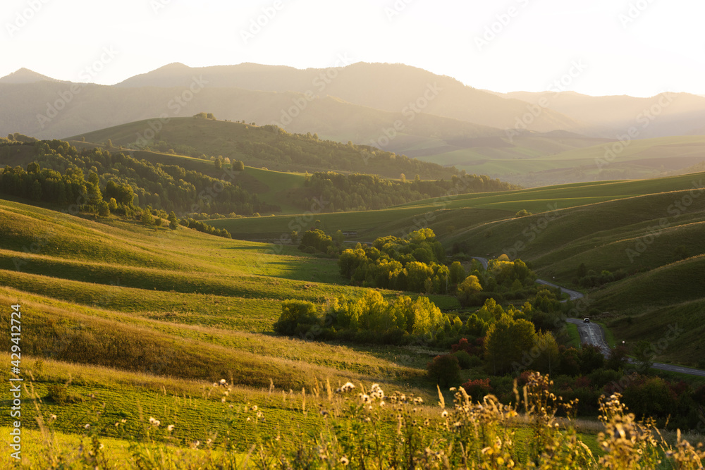 Unique sunset landscape. Hills in waves, road and forest. Russia, Altai